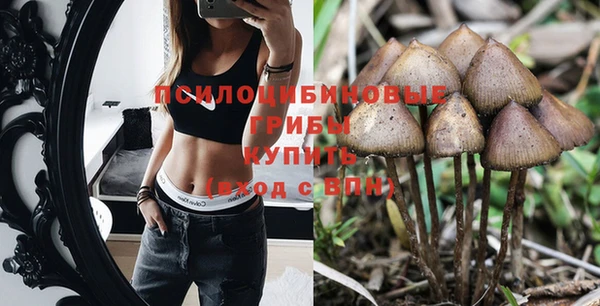 амфетамин Алексеевка