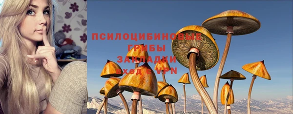 твердый Пролетарск