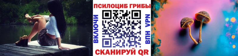 Псилоцибиновые грибы прущие грибы  Кореновск 